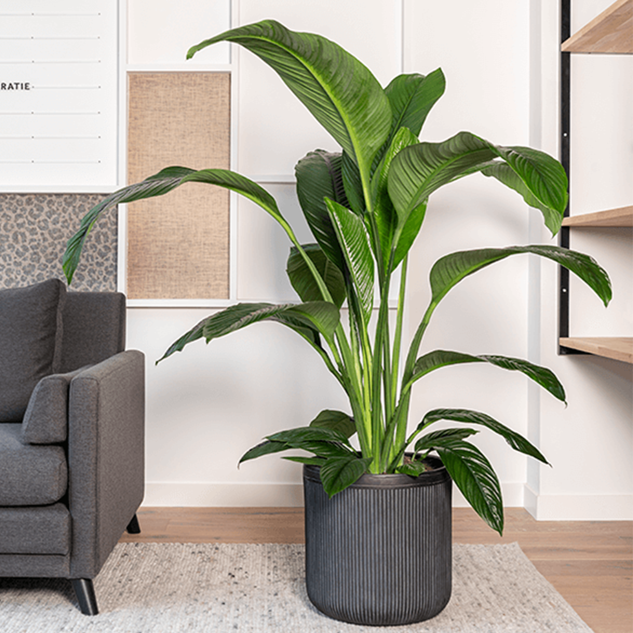 Baq Vertical Rib Cylinder Anthracite